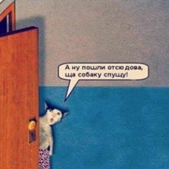 House & Techno