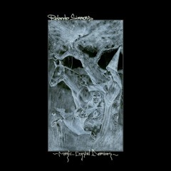 Rolando Simmons - Deep Trail (Poskok Remix)