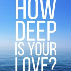 Calvin Harris - How Deep Is Your Love (Spaveech Remix)