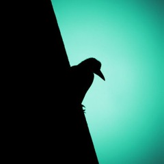 Moos - Moos Versie Eén