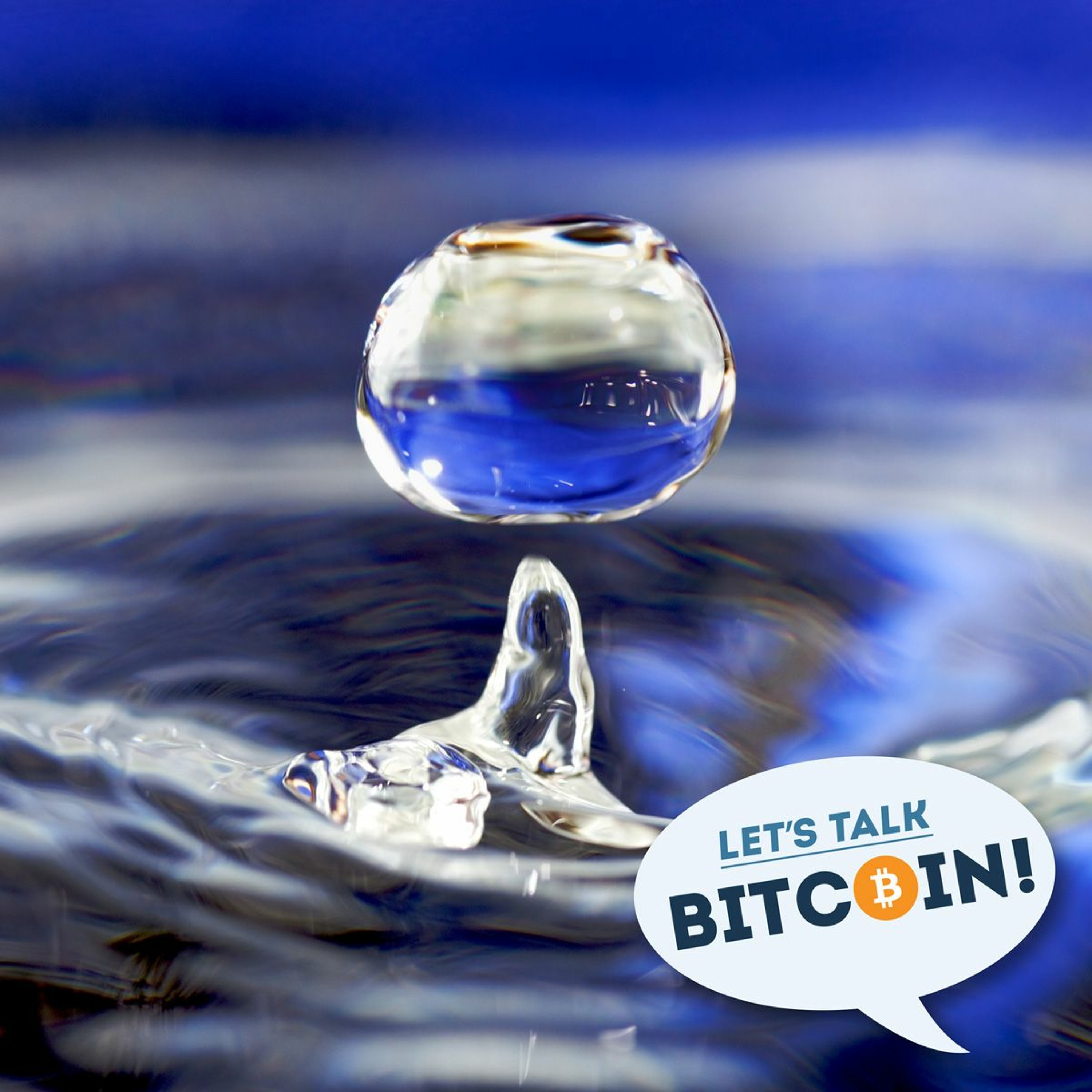LTB E258 - Liquidity and Malleability