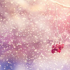Snowfall Serenata