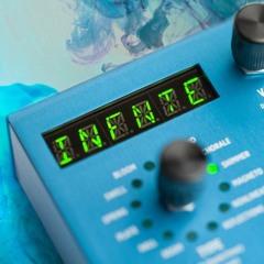 Strymon verb send test001