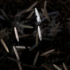 Funeral Of The Black Emperor