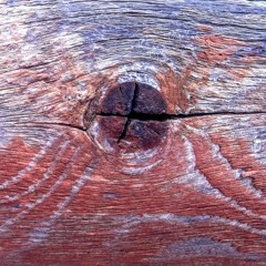 Parallel Conscience