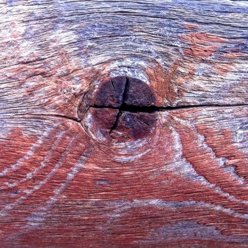 Parallel Conscience