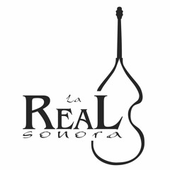 La Real Sonora - Malas Costumbres