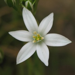 nujabes, shing0: なべ