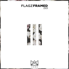 FLAGZ - Framed