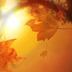 The End of Autumn