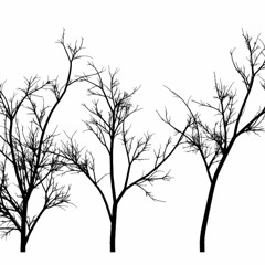 There and back again