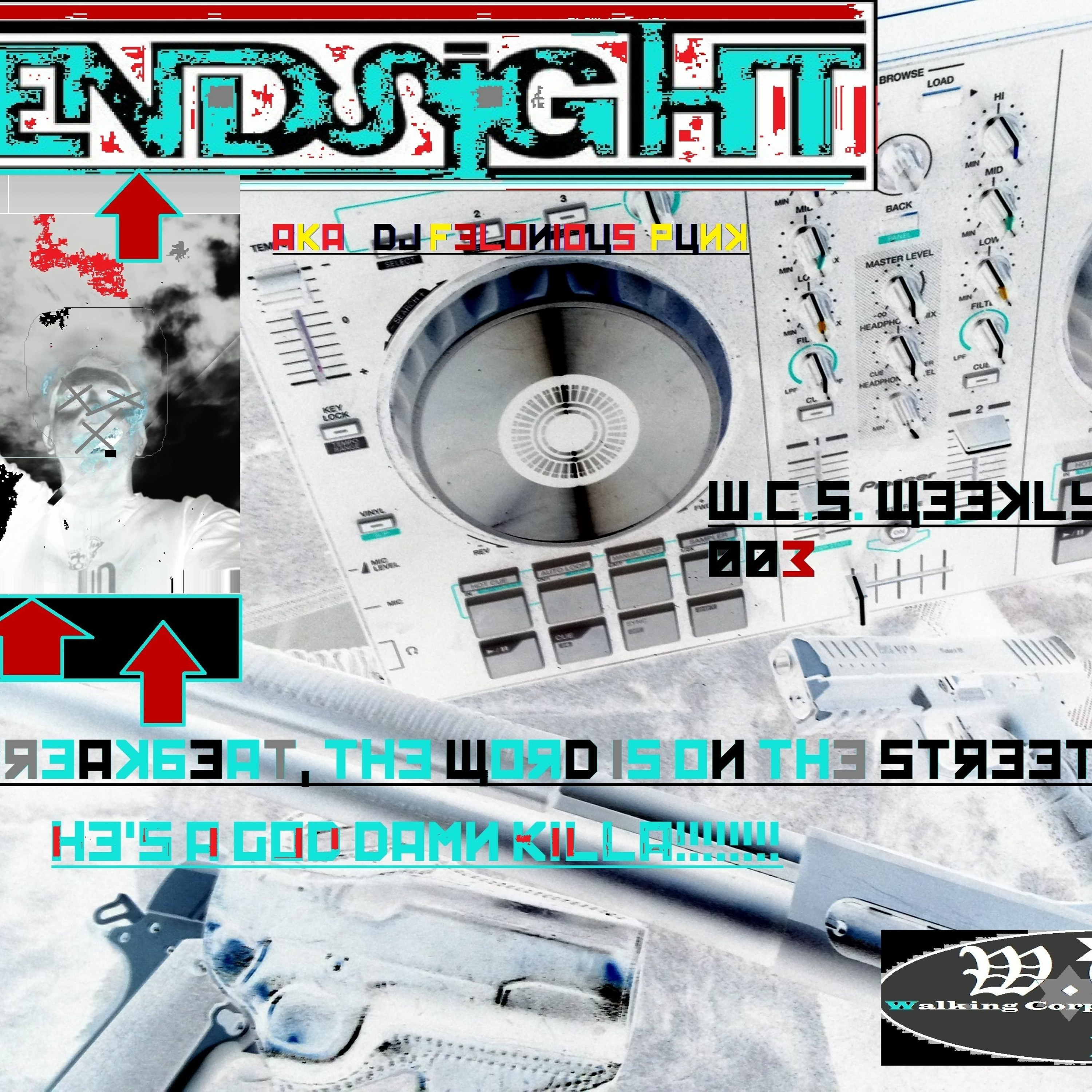ENDSIGHT! / AY