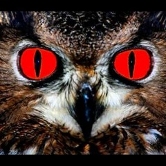 Uglesett (J. Gingerman-Remix)