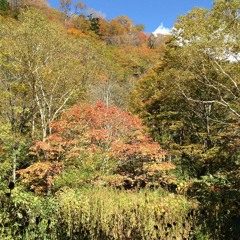 Love is Lord of All & Hayate's Jig