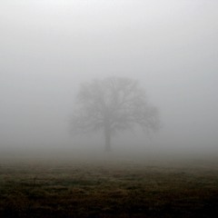 Mist (Feat AC Coffin$)