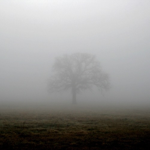 Mist (Feat AC Coffin$)