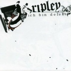 DJ Ripley  Ich Bin Defekt