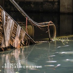 c o c k t a i lm o m e n t u m