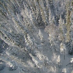 GooseBumps -Heyjonjohnson