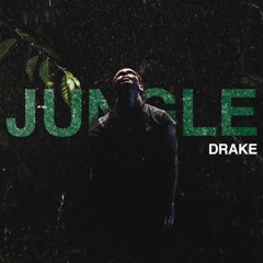 Jungle (cover) - Drake