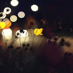 Sounds from Sunday evening