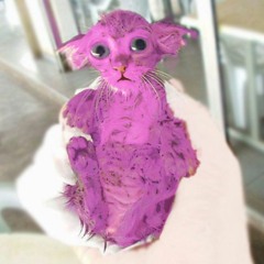 Deep Filip, Pink Pussy Deep & Wet Autumn 2015 Podcast