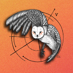 Crapface (feat. Adderall) - PLUR