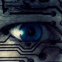 Omnicolor Call It Culture(Zoolook Revisited)