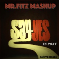 Say Yes Vs Pony -Mr Fitz mashup (free download)