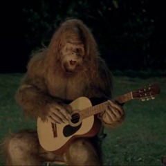 Messin' With Sasquatch