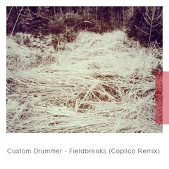 Custom Drummer - Fieldbreaks (Copilco REMIX)