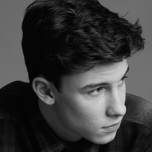 mendes shawn скачать