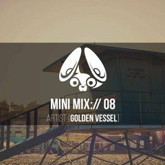 Stereofox Mini Mix://08 - Artist [Golden Vessel]