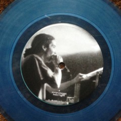 toysfornoise live - Audio Riots 03 - Insecticide