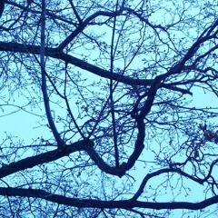 The Body In Question plays Ten Minutes Of Heaven