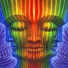 Signal Flow Feat. Kevin Knapp - What U Gonna Do