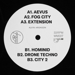 WM007 - Alvin Aronson - Promotional Clip