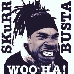 SKuRR Vs Busta Rhymes - Woo Ha!