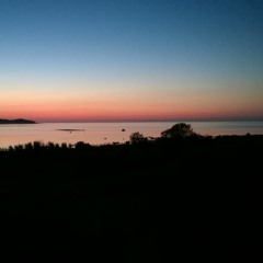 Analog Mind - Summer Breeze