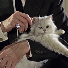 A CHERRY KISS FROM A YOUNG BUTCH (ISE8 DJ VERSION)