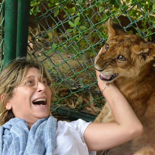 The Conflict between Humans Rights and Animals Rights In Egypt : An Interview with Dina Zulfikar