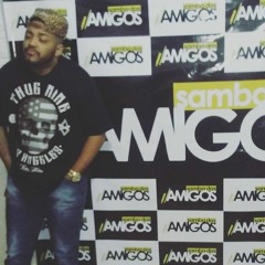 Samba Dos Amigos E Tiee Cd Completo Porto Alegre 2015