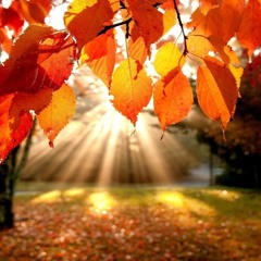 Autumn Chill(100 - 110 BPM)