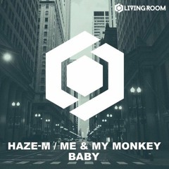 Haze-M, Me & My Monkey - Baby (Original Mix)