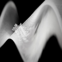 Molten Wax_#soundhunters