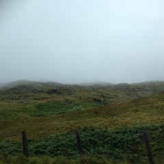 Where's Your Mustard To?