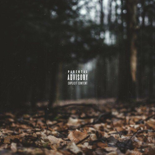 Potpourri (Prod. Bstfrnd X Fly Anakin)