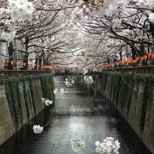 stream-from-la-to-tokyo-by-aden-joshua-listen-online-for-free-on