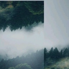 Chivalry is deadXHey Mama