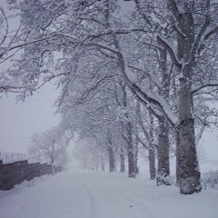 who listens in the snow